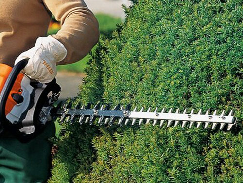 Garden Services hedge trimming